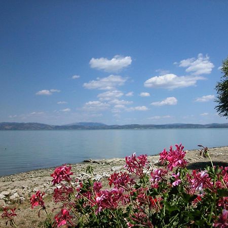 Hotel Aganoor Castiglione del Lago Kültér fotó