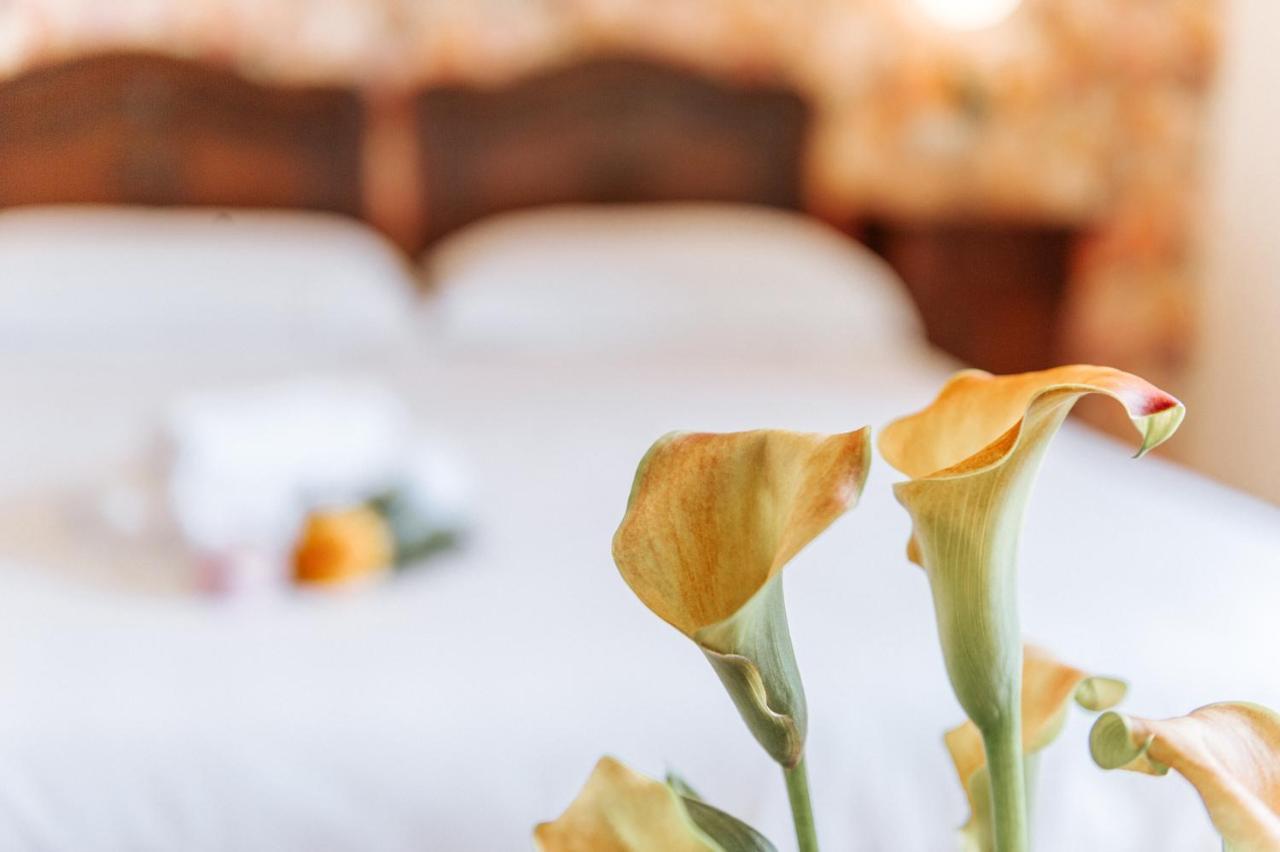 Hotel Aganoor Castiglione del Lago Kültér fotó