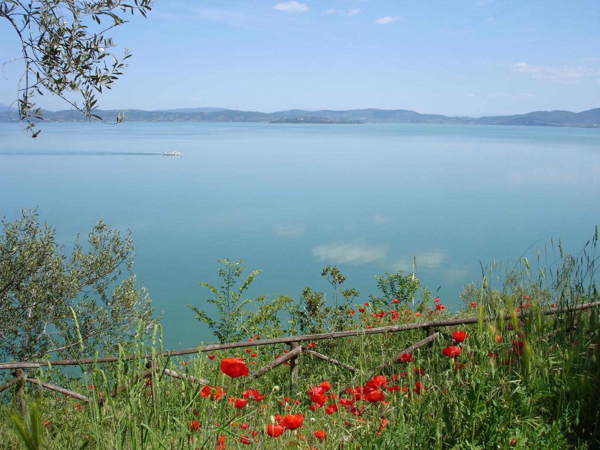 Hotel Aganoor Castiglione del Lago Kültér fotó